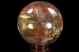 Bargain, Colorful Petrified Wood Sphere - Madagascar #92995-1
